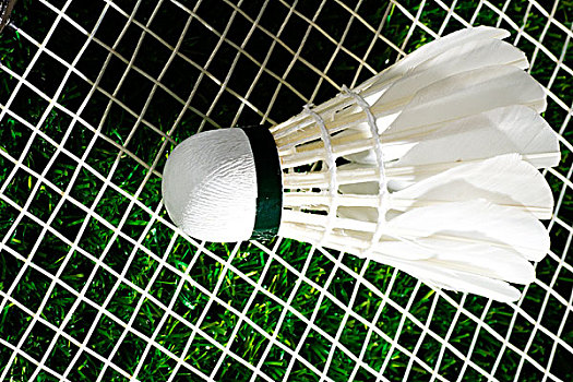 扑下仍出现 扑下仍出现