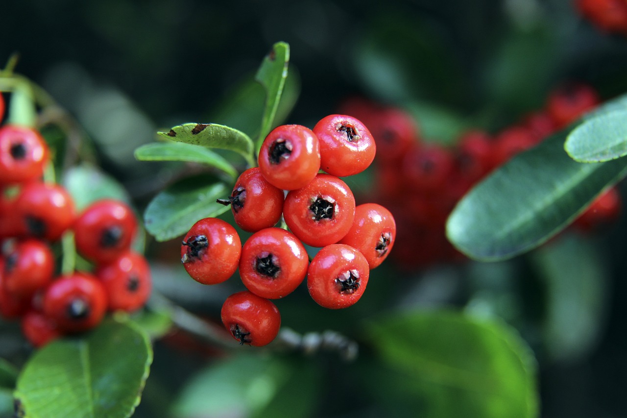 由于碰撞力 由于碰撞力