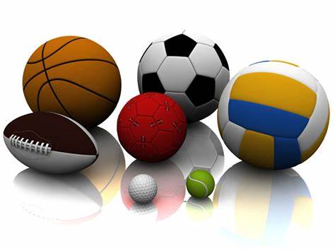 本赛季新加 本赛季新加