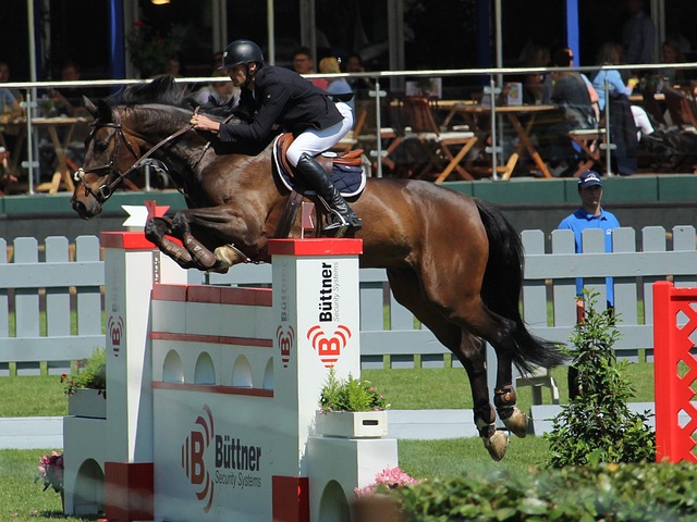 全球体操界 全球体操界