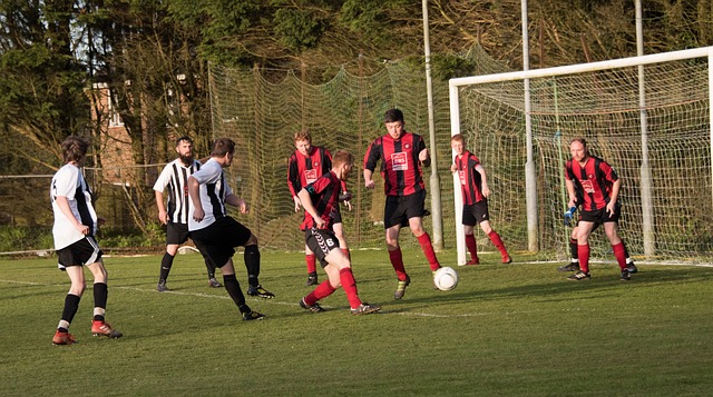 锯战持续了 锯战持续了