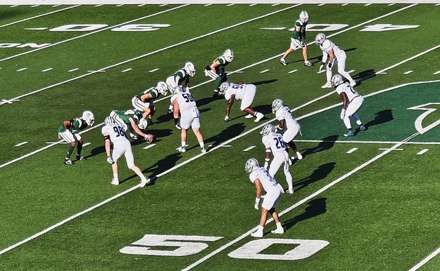 猛龙逆袭 猛龙逆袭